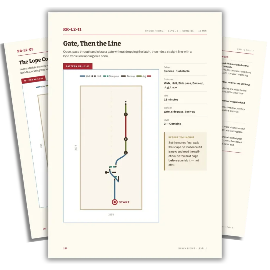 Overhead arena spread with ranch riding pattern lines